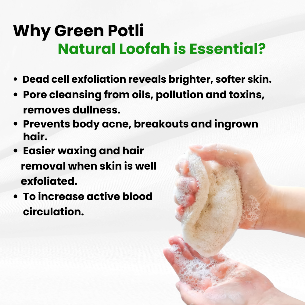 Natural Loofah (Pack of 5) | 100% Plant based | Eco-friendly | Circular shape