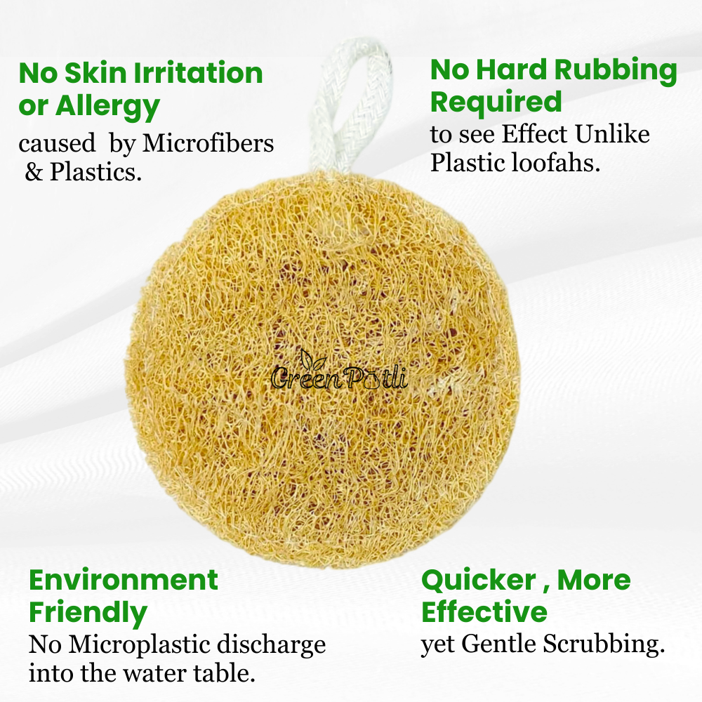 Natural Loofah (Pack of 3) | 100% Plant based | Eco-friendly | Circular shape