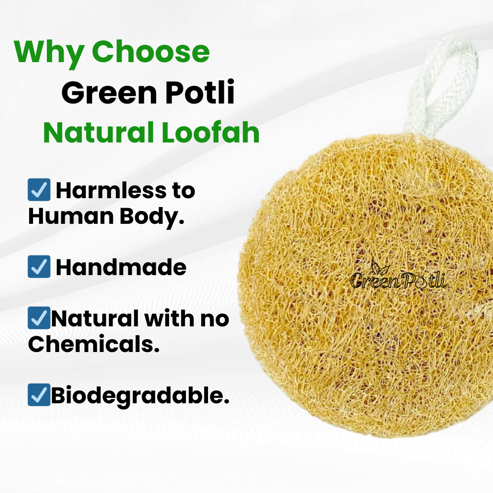 Natural Loofah (Pack of 3) | 100% Plant based | Eco-friendly | Circular shape