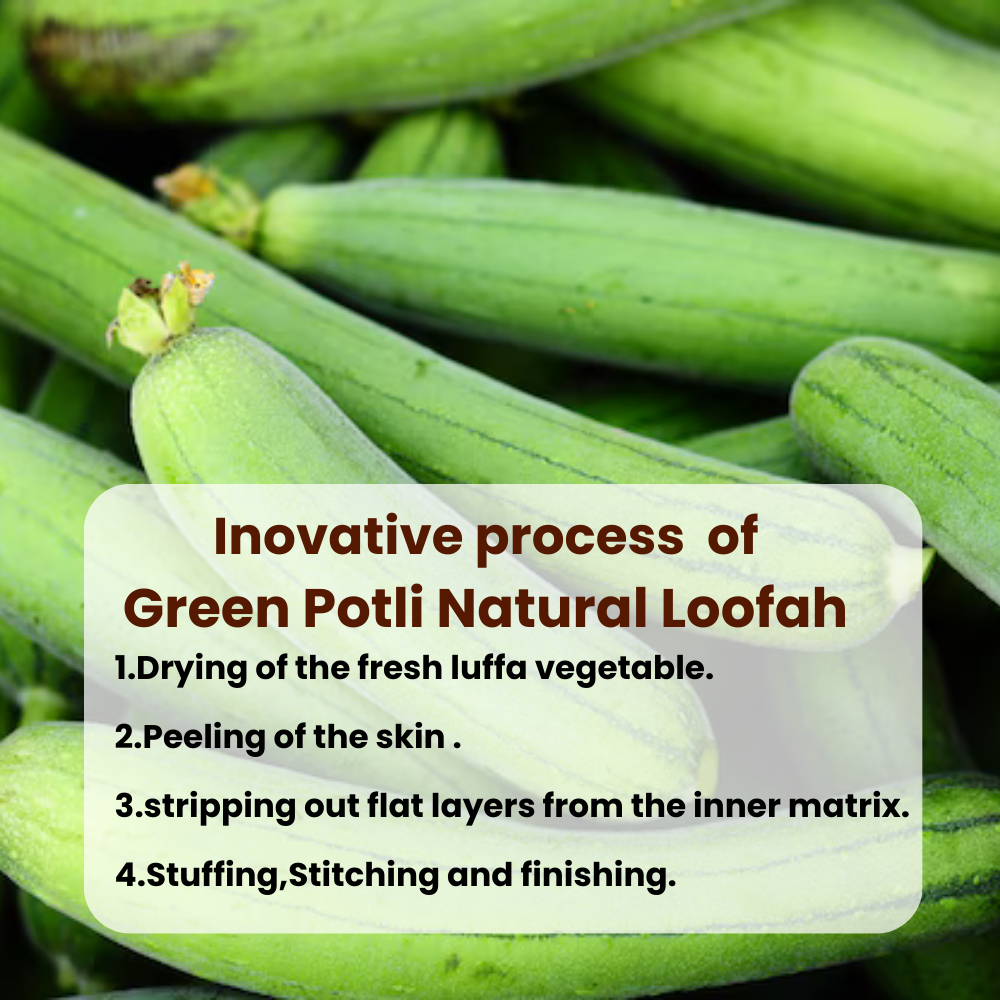 Natural Loofah (Pack of 3) | 100% Plant based | Eco-friendly | Circular shape